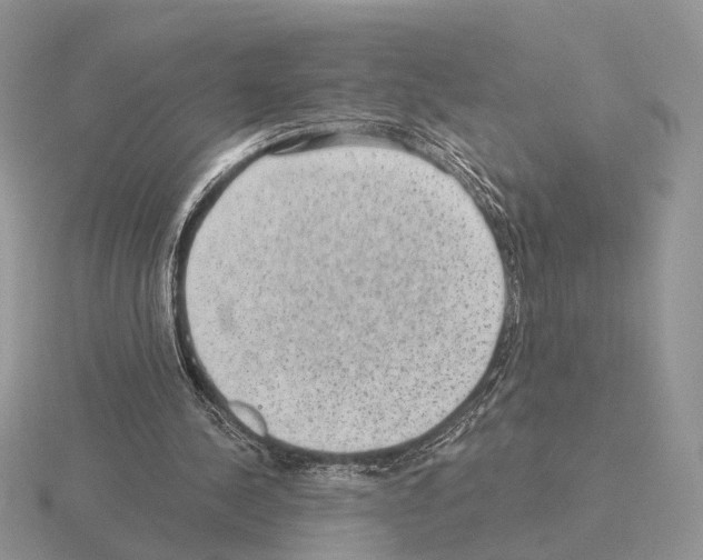 X0000115360244200912151404