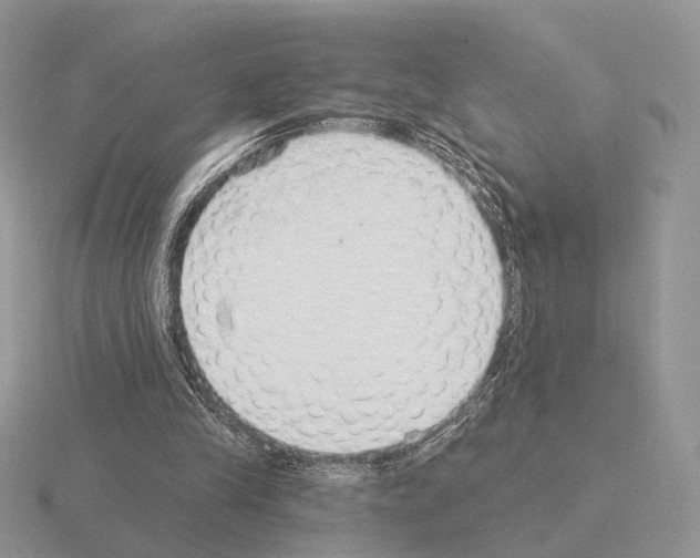 X0000115360245200912151404