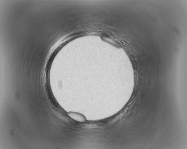X0000115360246200912151404