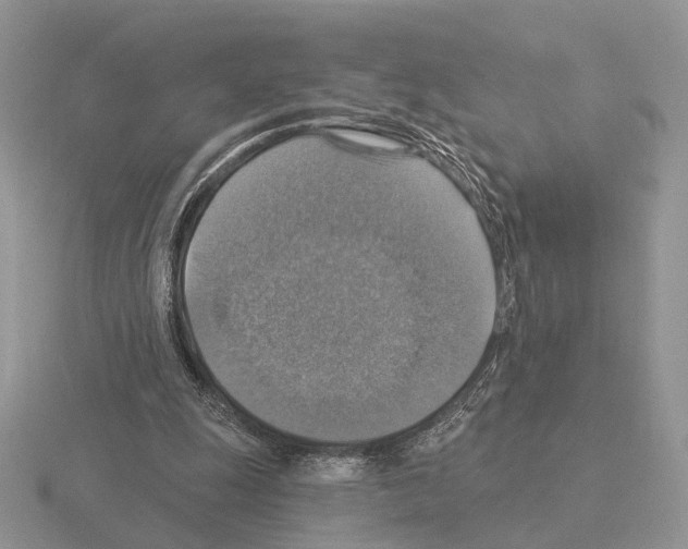 X0000115360247200912151404