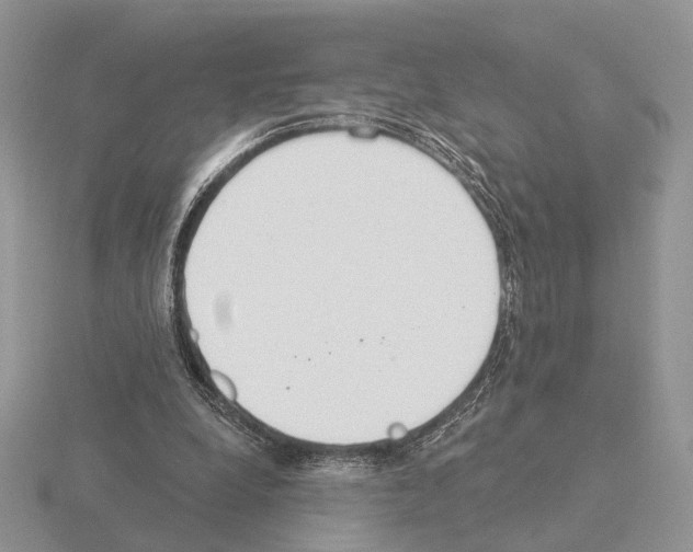 X0000115360248200912151404