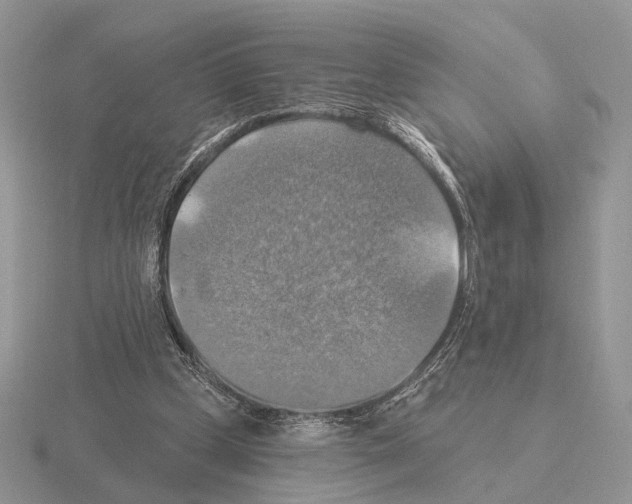 X0000115360249200912151404