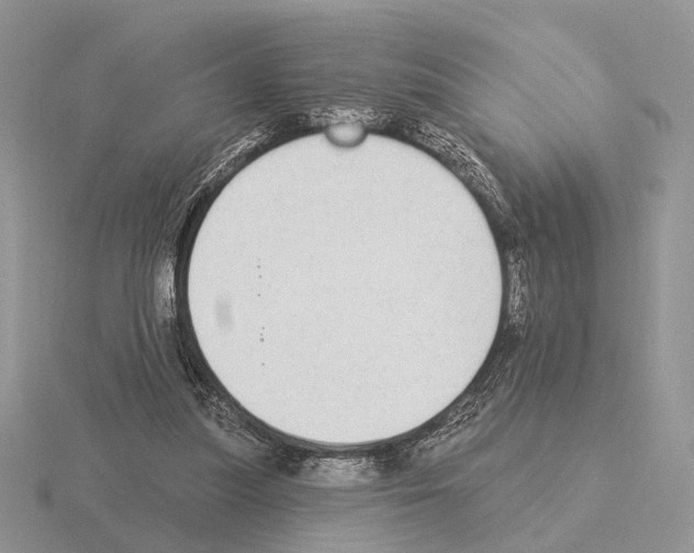 X0000115360251200912151404