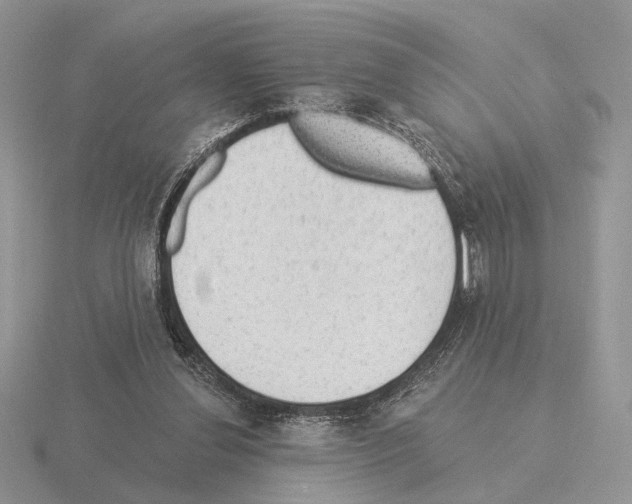 X0000115360252200912151404