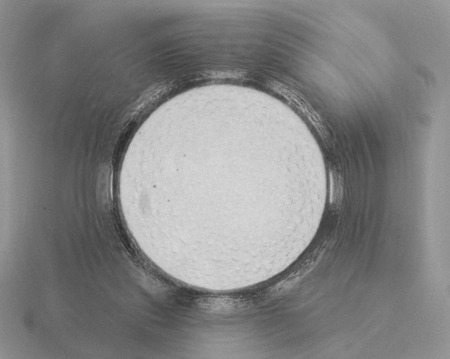 X0000115360253200912151404