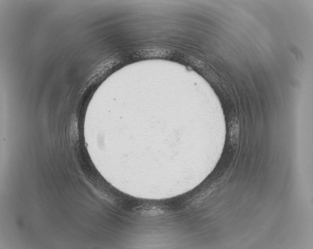 X0000115360254200912151404