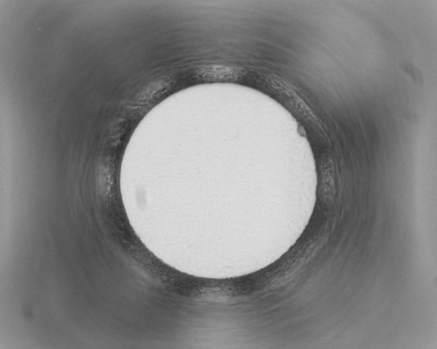 X0000115360259200912151404