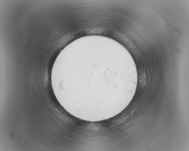 X0000115360261200912151404