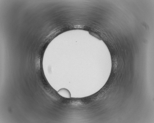 X0000115360262200912151404