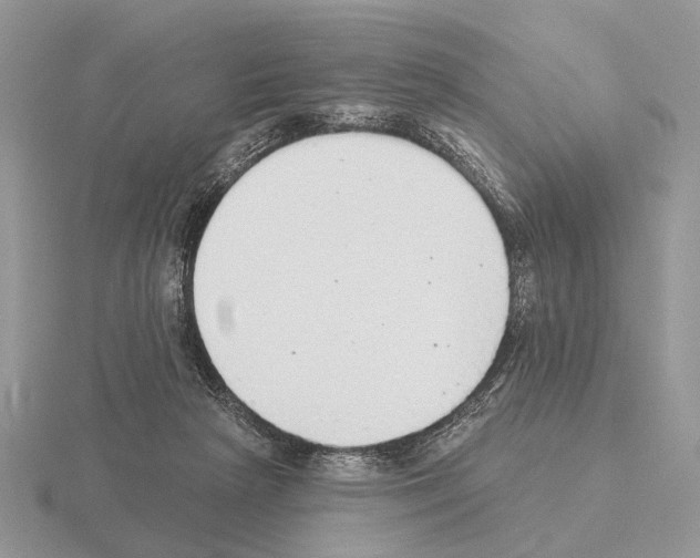 X0000115360265200912151404