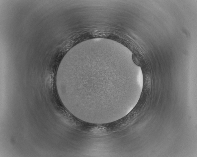 X0000115360271200912151404