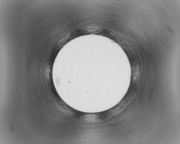 X0000115360279200912151404