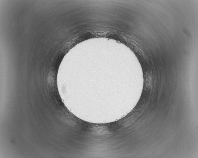 X0000115360283200912151404
