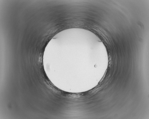X0000115360284200912151404