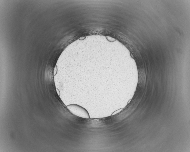 X0000115360287200912151404