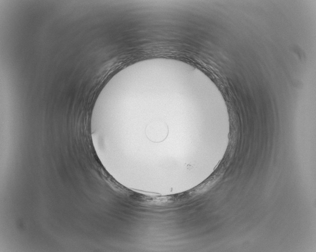 X0000115360288200912151404