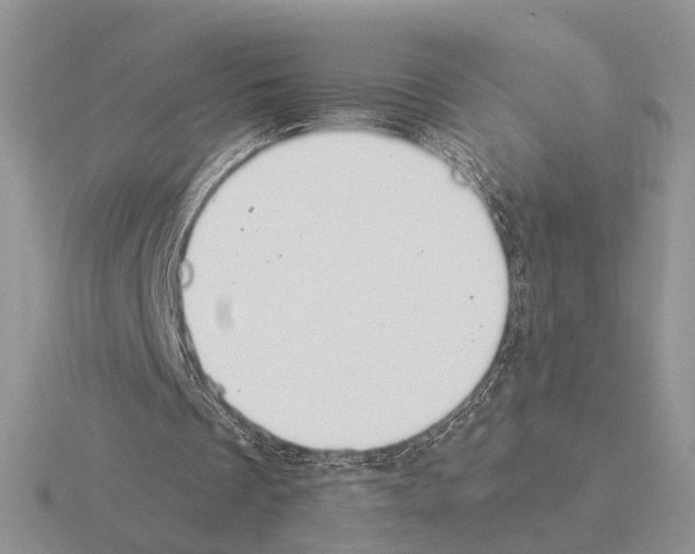 X0000115360289200912151403