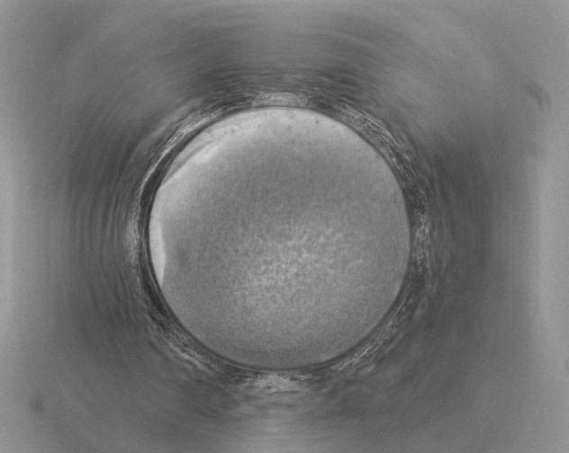 X0000115360290200912151403