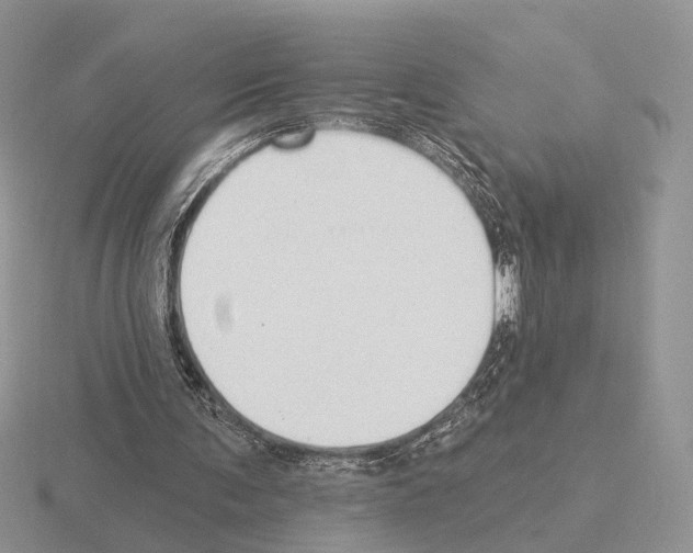 X0000115360291200912151403