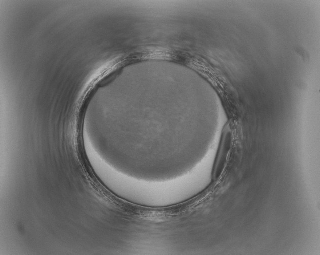 X0000115360293200912151403