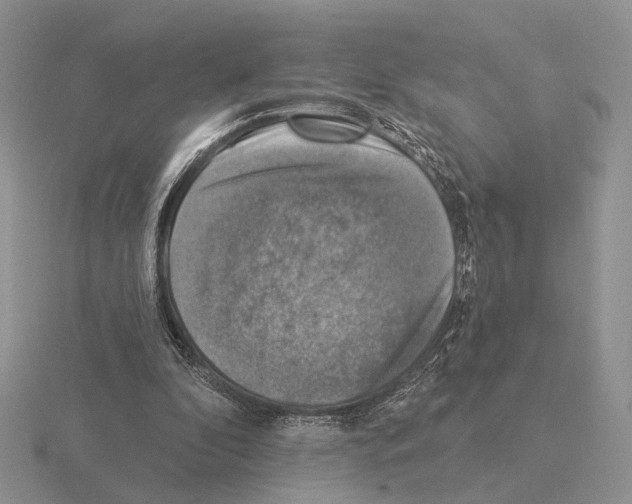 X0000115360296200912151403