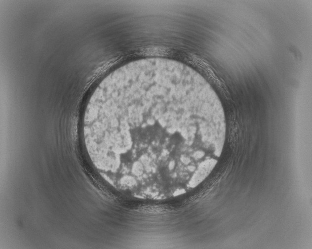 X0000115360299200912151403
