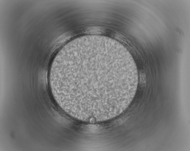 X0000115360302200912151403
