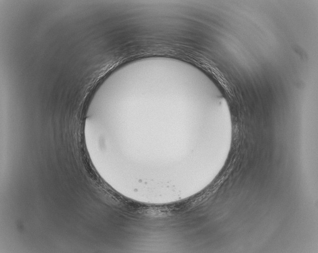 X0000115360305200912151403