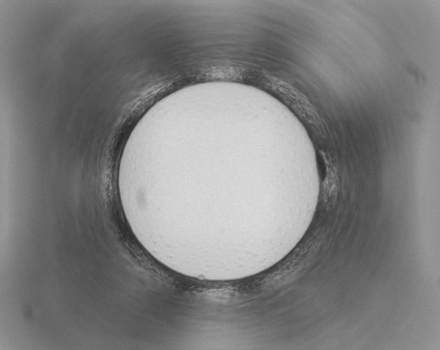 X0000115360306200912151403