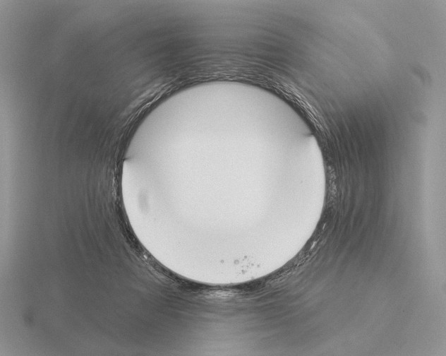 X0000115360313200912151403