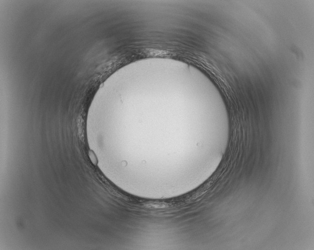 X0000115360317200912151403