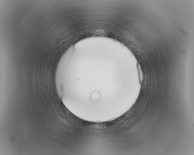 X0000115360320200912151403