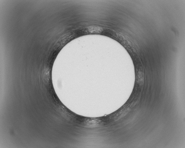 X0000115360321200912151403