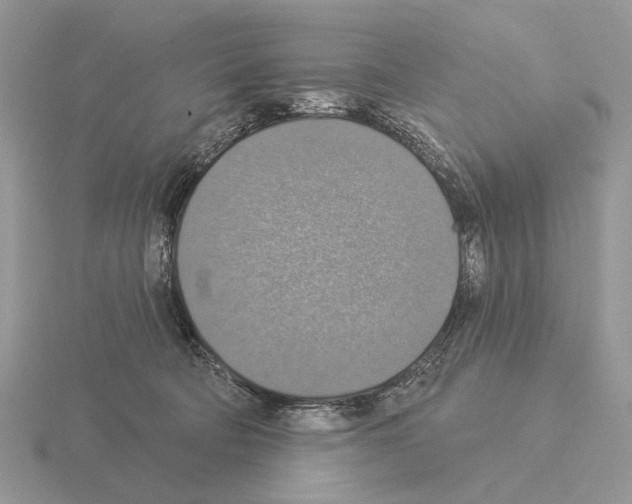 X0000115360322200912151403