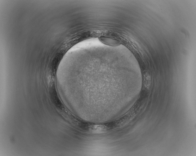 X0000115360324200912151403