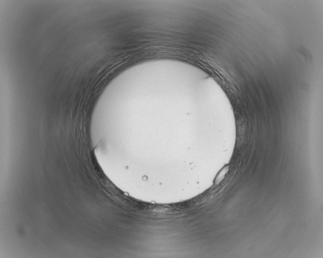 X0000115360325200912151403