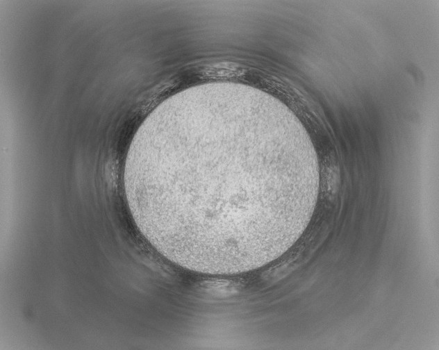 X0000115360326200912151403
