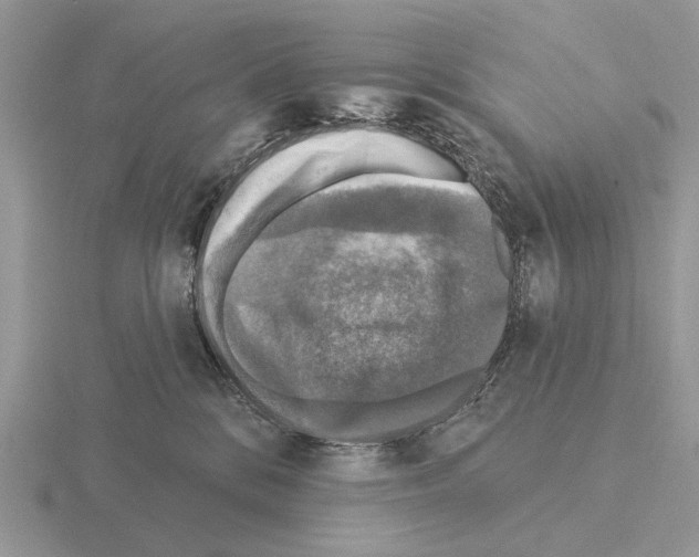 X0000115360328200912151403