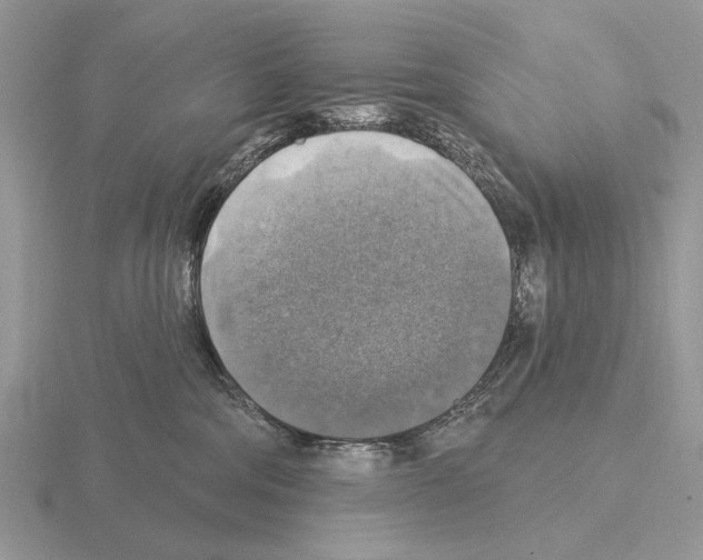 X0000115360330200912151403