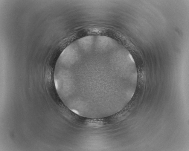 X0000115360331200912151403