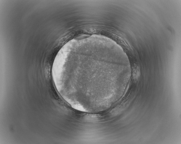 X0000115360332200912151403