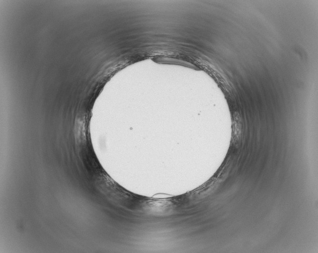 X0000115360333200912151403