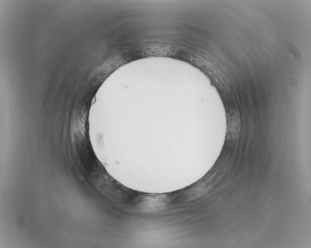 X0000115360334200912151403