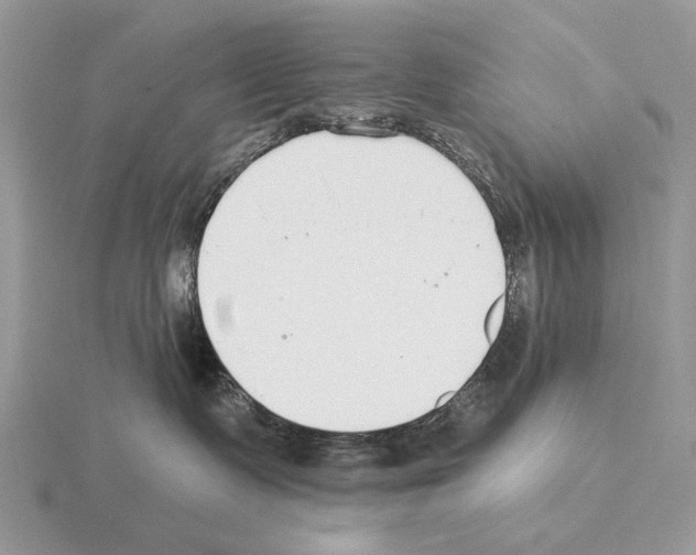 X0000115360335200912151403