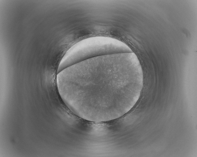 X0000115360336200912151403