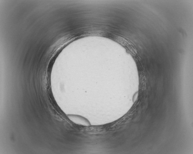 X0000115360338200912151402