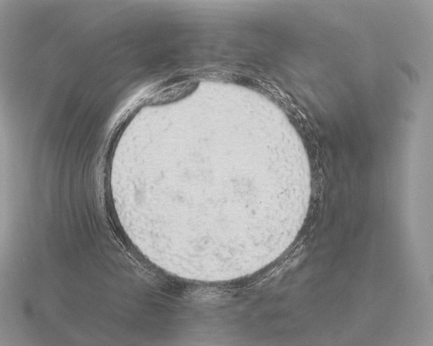 X0000115360341200912151402