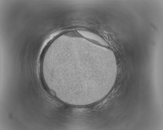 X0000115360342200912151402