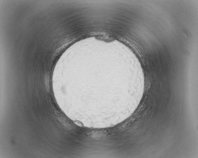 X0000115360345200912151402