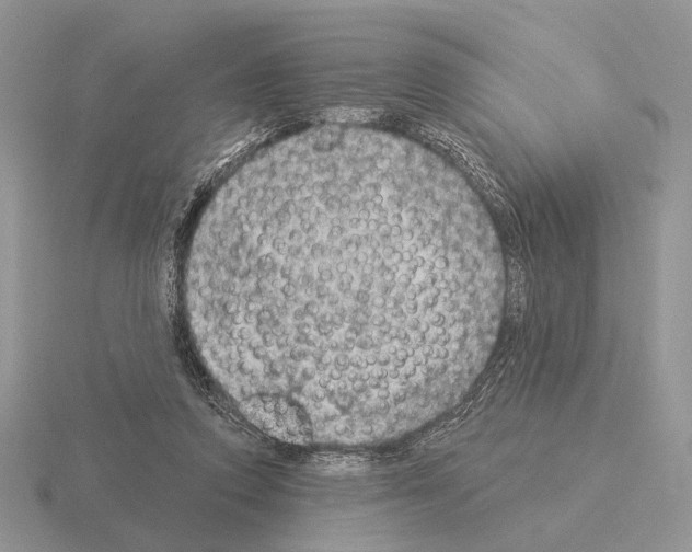 X0000115360354200912151402